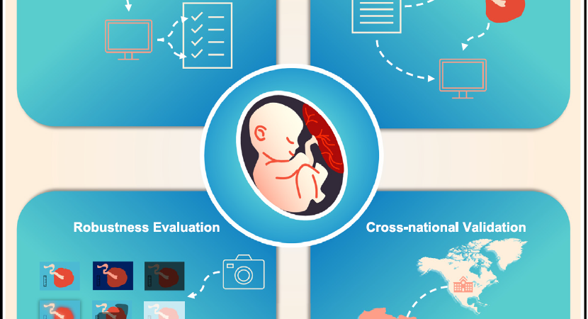 PlacentaVision AI: Revolutionizing Maternal Health with Smart Imaging